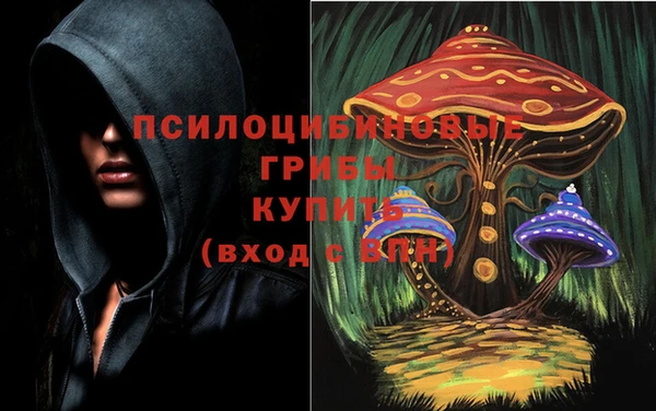экстази Михайловск