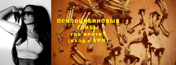 PSILOCYBIN Навашино