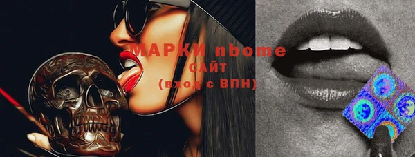 амф Надым
